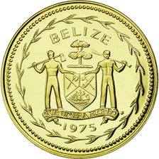 Coin, Belize, 5 Cents, 1975, Franklin Mint, MS(65-70), Silver, KM:47a