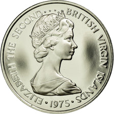 Coin, BRITISH VIRGIN ISLANDS, Elizabeth II, 5 Cents, 1975, Franklin Mint