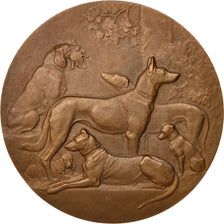 Valenciennes, Société Protectrice des animaux, Médaille