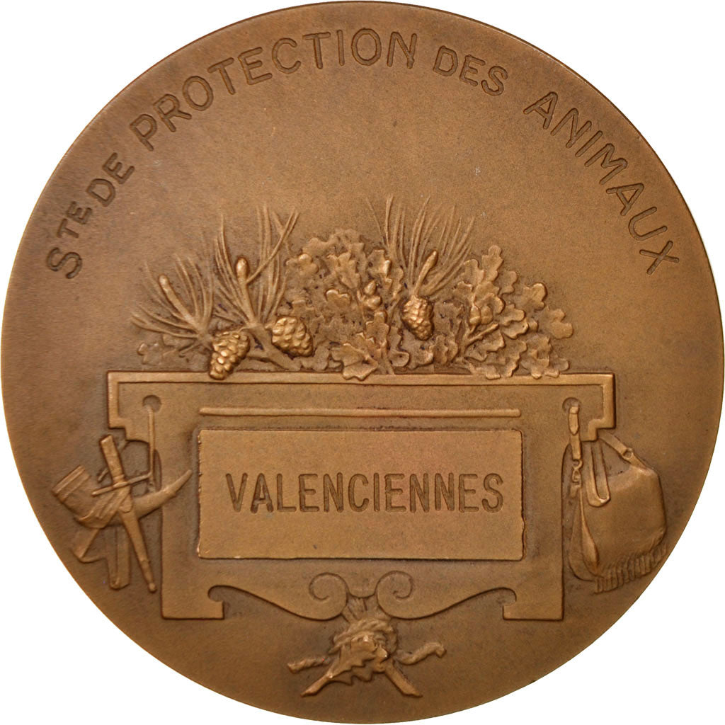 Valenciennes, Société Protectrice des animaux, Médaille
