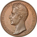 FRANCE, Politics, Society, War, Charles X, Medal, AU(55-58), Bronze, 41, 34.10