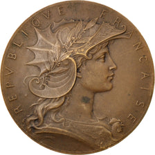 France, Medal, French Third Republic, Sports & leisure, Dubois.H, AU(50-53)