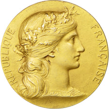 France, Medal, French Third Republic, Sports & leisure, Dupuis.D, SUP, Vermeil
