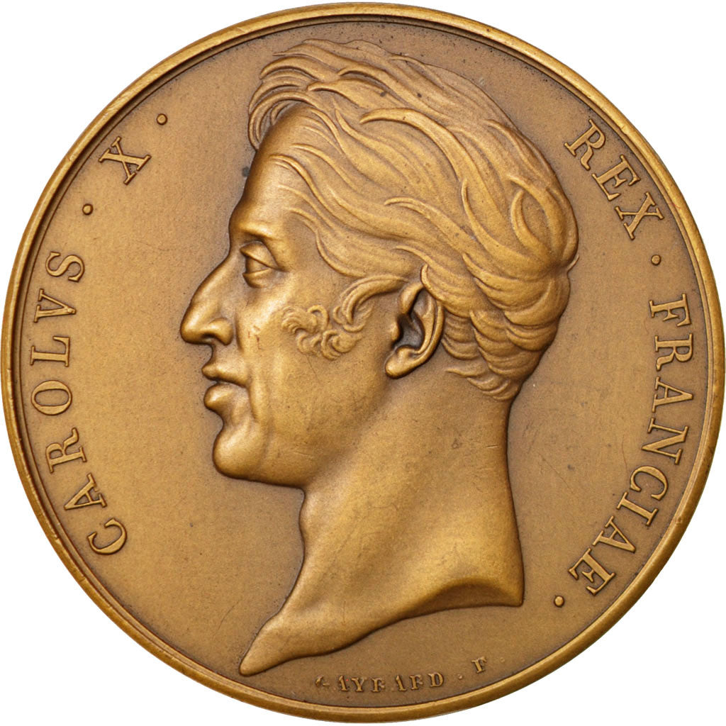 France, Medal, Charles X, Politics, Society, War, Gayrard, AU(55-58), Bronze