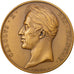 France, Medal, Charles X, Politics, Society, War, Gayrard, AU(55-58), Bronze