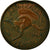 Munten, Australië, Elizabeth II, Penny, 1961, FR+, Bronze, KM:56