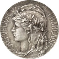 FRANCE, Politics, Society, War, French Third Republic, Medal, EF(40-45),...