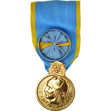 Frankrijk, Médaille de la Jeunesse et des Sports, Medaille, Honneur, Niet