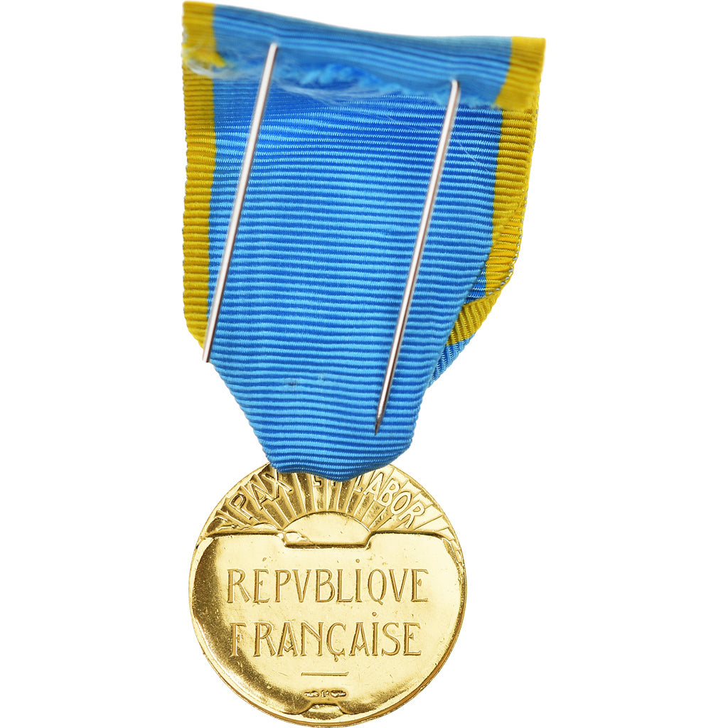 Frankrijk, Médaille de la Jeunesse et des Sports, Medaille, Honneur, Niet