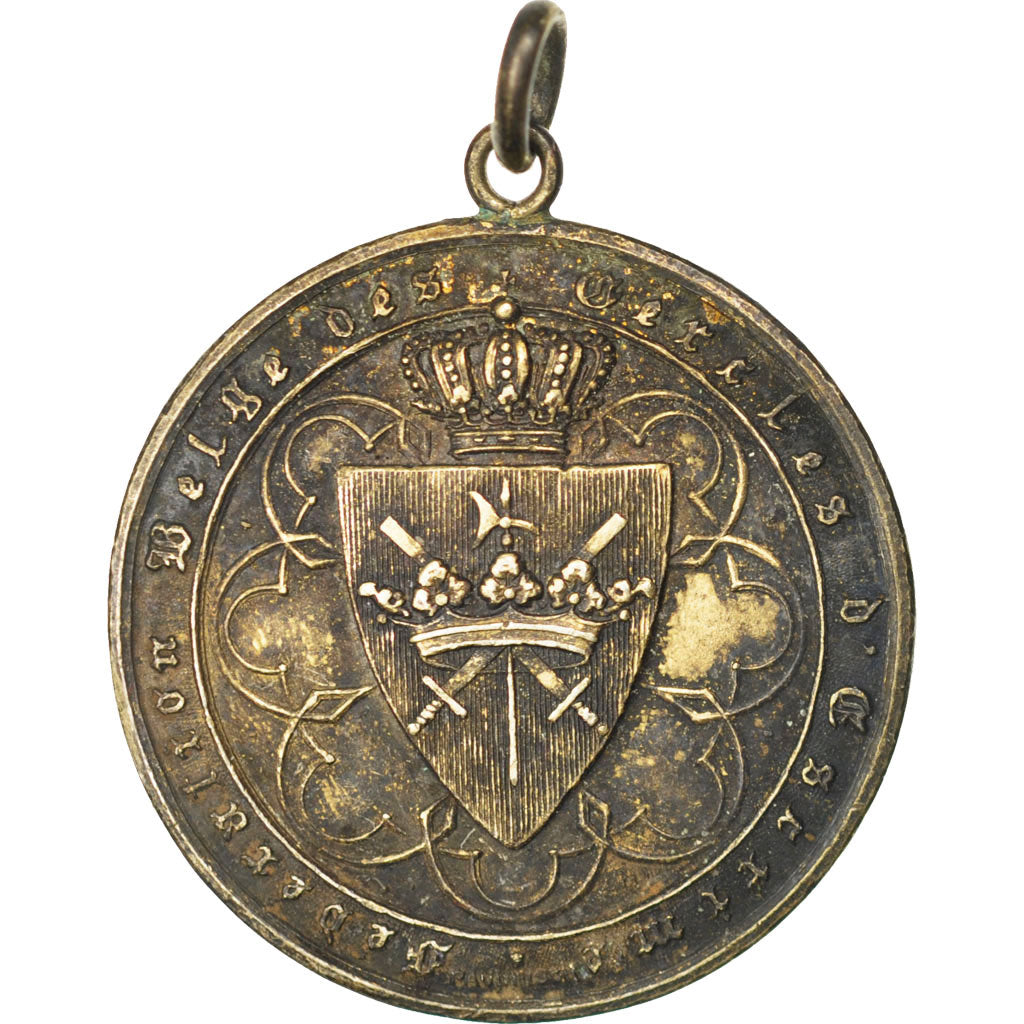 Belgium, Sports & leisure, Medal, AU(50-53), Silver, 30, 9.80