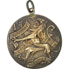 Belgium, Sports & leisure, Medal, AU(50-53), Silver, 30, 9.80