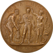 FRANCE, Politics, Society, War, French Third Republic, Medal, AU(50-53),...