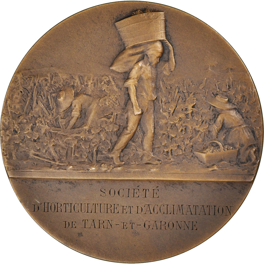 Francia, medalla, La Vigne, Société d'Horticulture de Tarn-et-Garonne