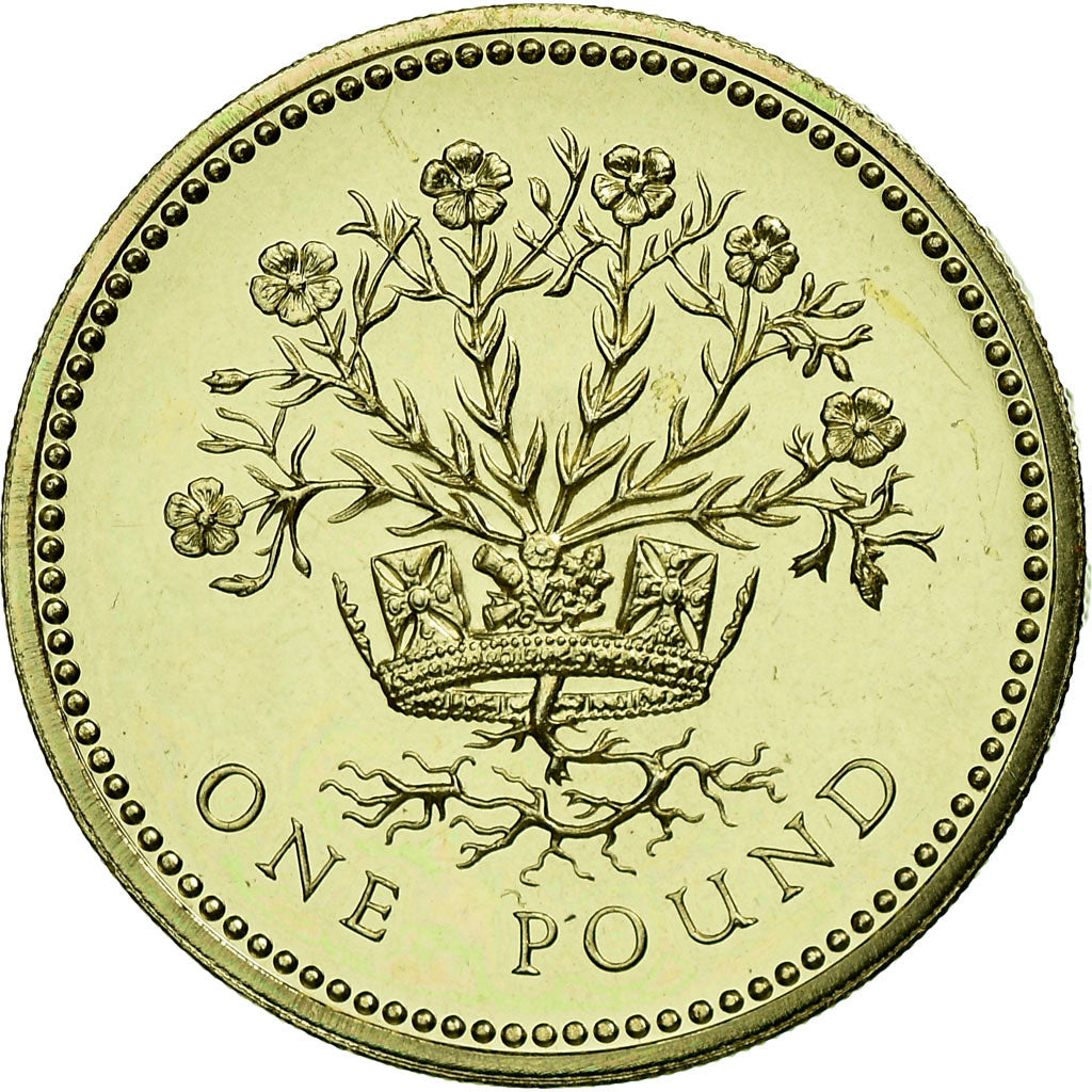 Coin, Great Britain, Elizabeth II, Pound, 1991, MS(63), Nickel-brass, KM:946