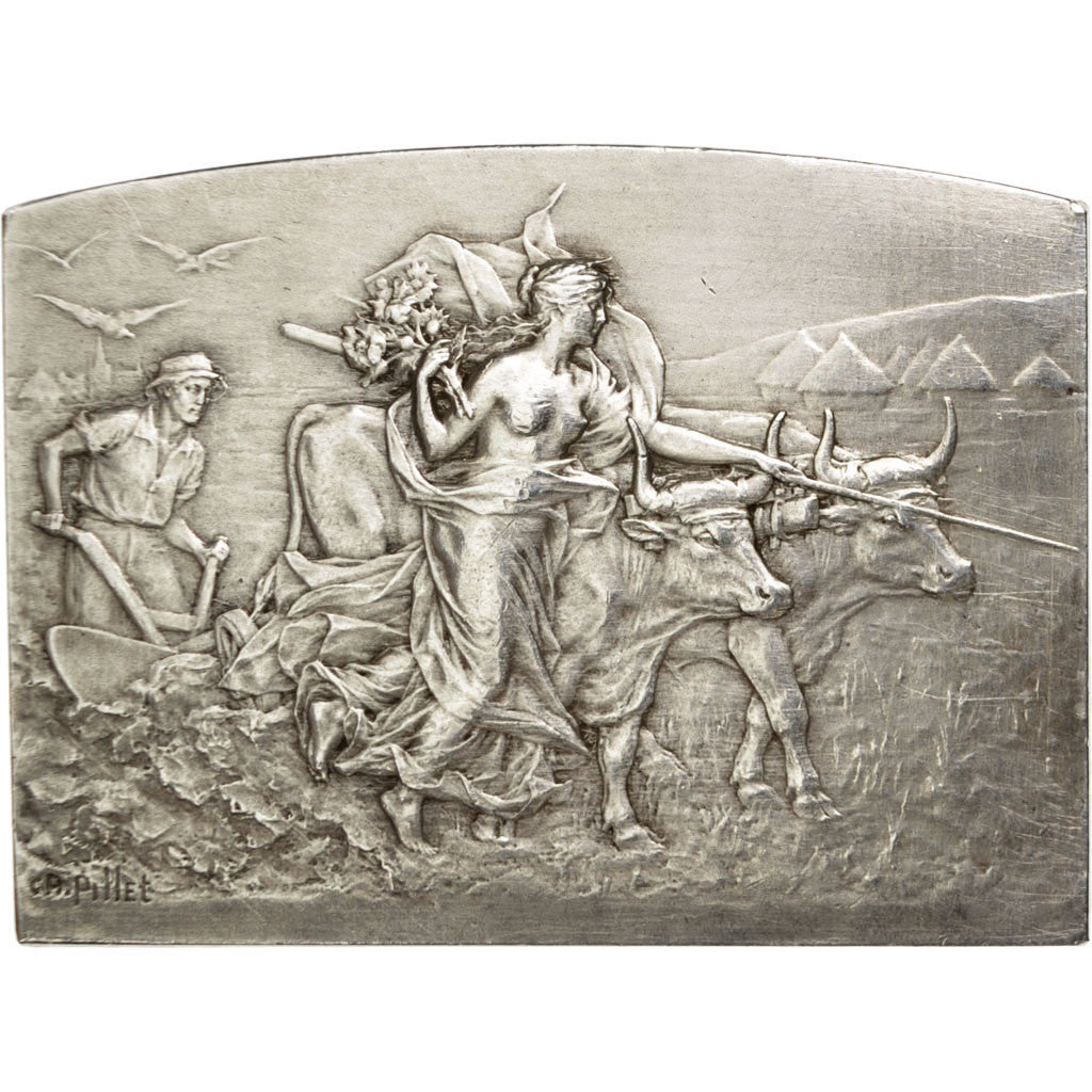 Algeria, Medal, Concours de Petite Culture, Alger, 1911, Pillet, AU(50-53)