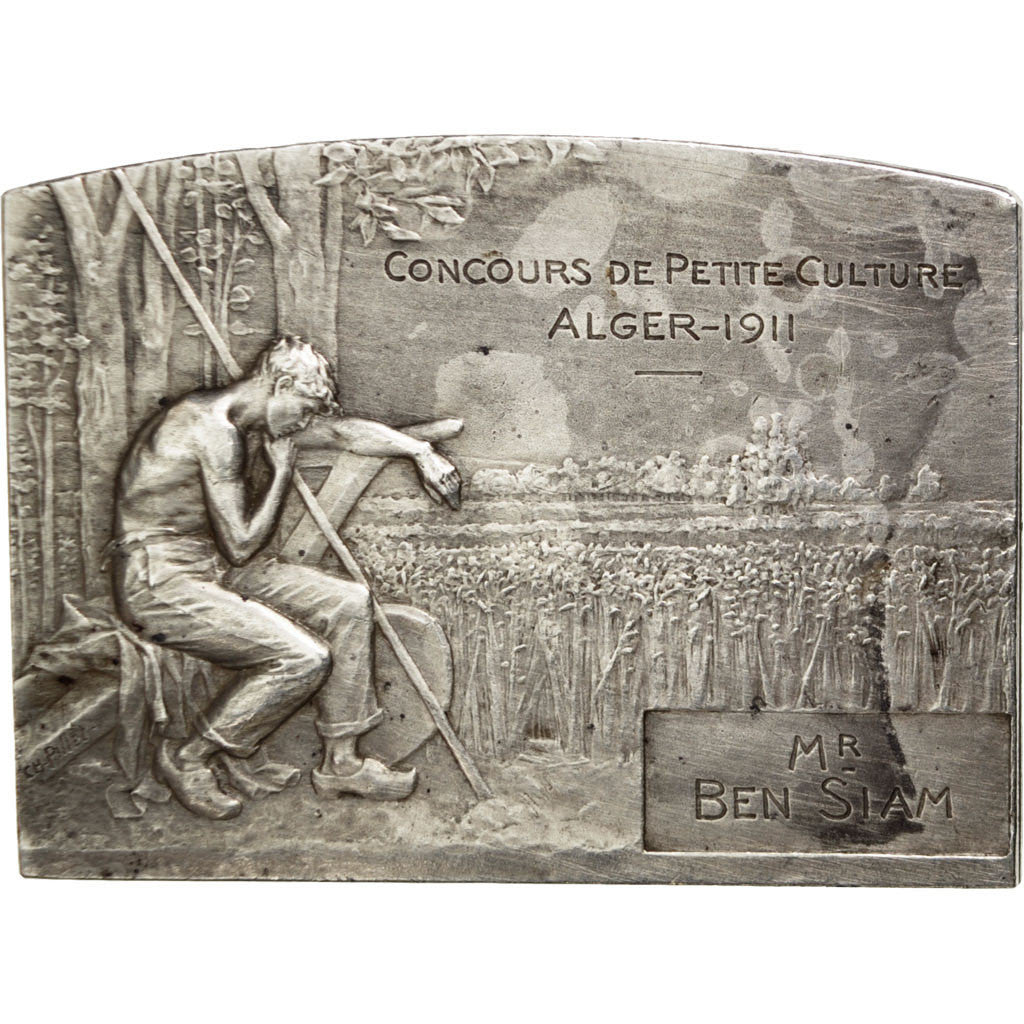 Algeria, Medal, Concours de Petite Culture, Alger, 1911, Pillet, AU(50-53)