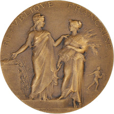 Francja, medal, Ministère de l'Agriculture, Associations Agricoles, Dubois.A