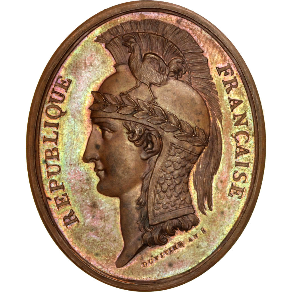 Consulat, Conseil d’état AN 8, Médaille