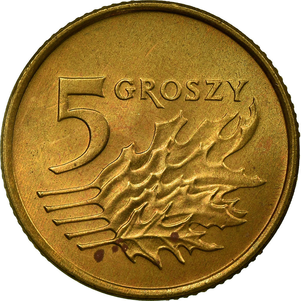 Moneda, Polonia, 5 Groszy, 1992, Warsaw, EBC, Latón, KM:278