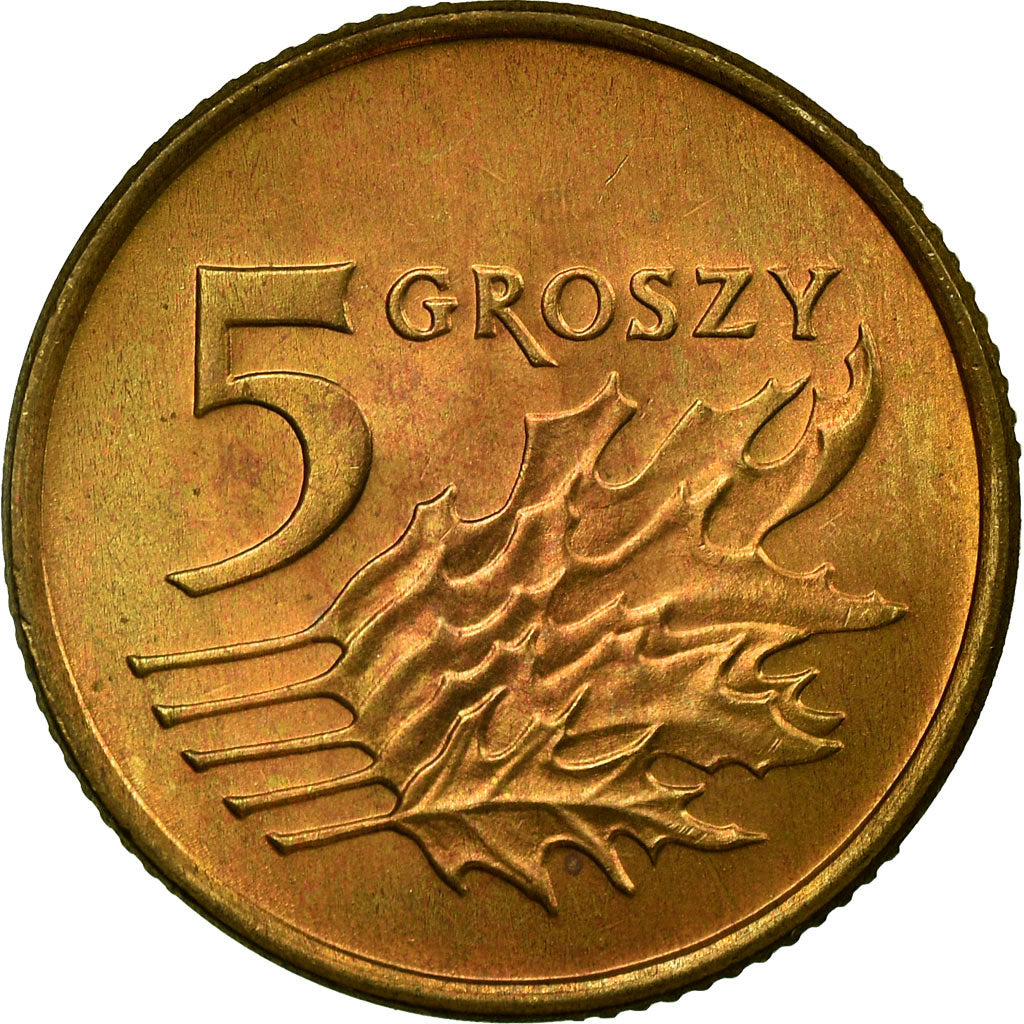 Coin, Poland, 5 Groszy, 1992, Warsaw, AU(55-58), Brass, KM:278