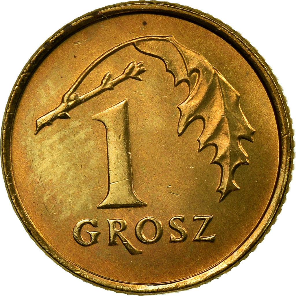 Monnaie, Pologne, Grosz, 1990, Warsaw, SUP, Laiton, KM:276