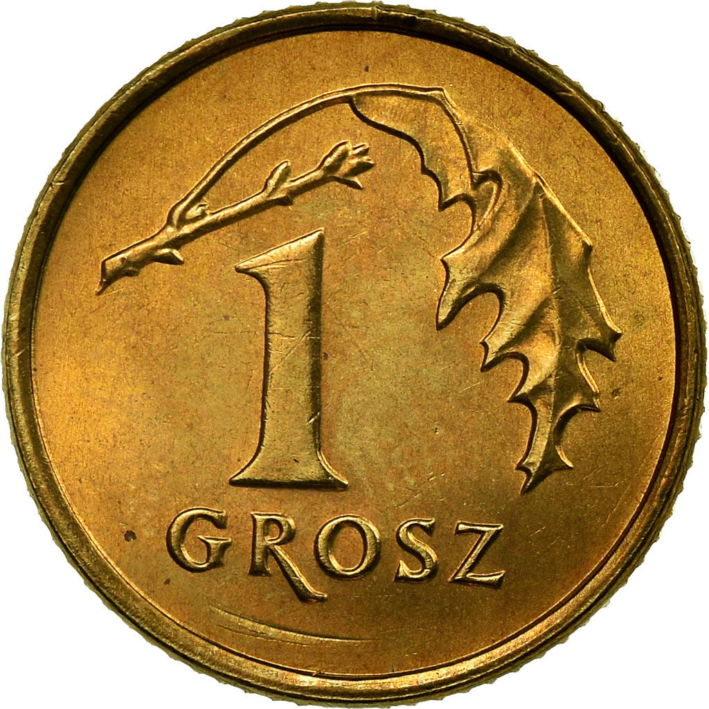 Monnaie, Pologne, Grosz, 1990, Warsaw, SUP, Laiton, KM:276