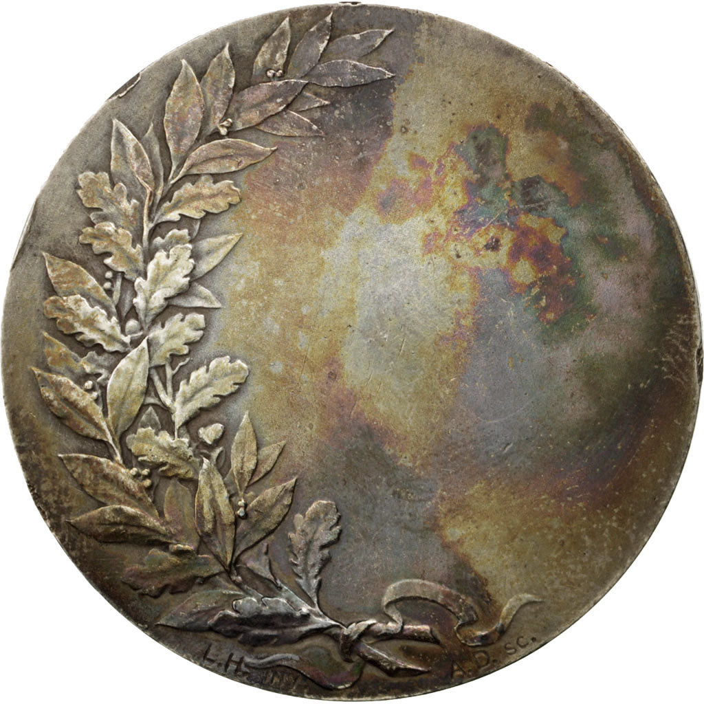 Francja, Medal, Trzecia Republika Francuska, Polityka, społeczeństwo, wojna