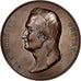 Belgium, Arts & Culture, Medal, AU(55-58), Bronze, 51, 60.20