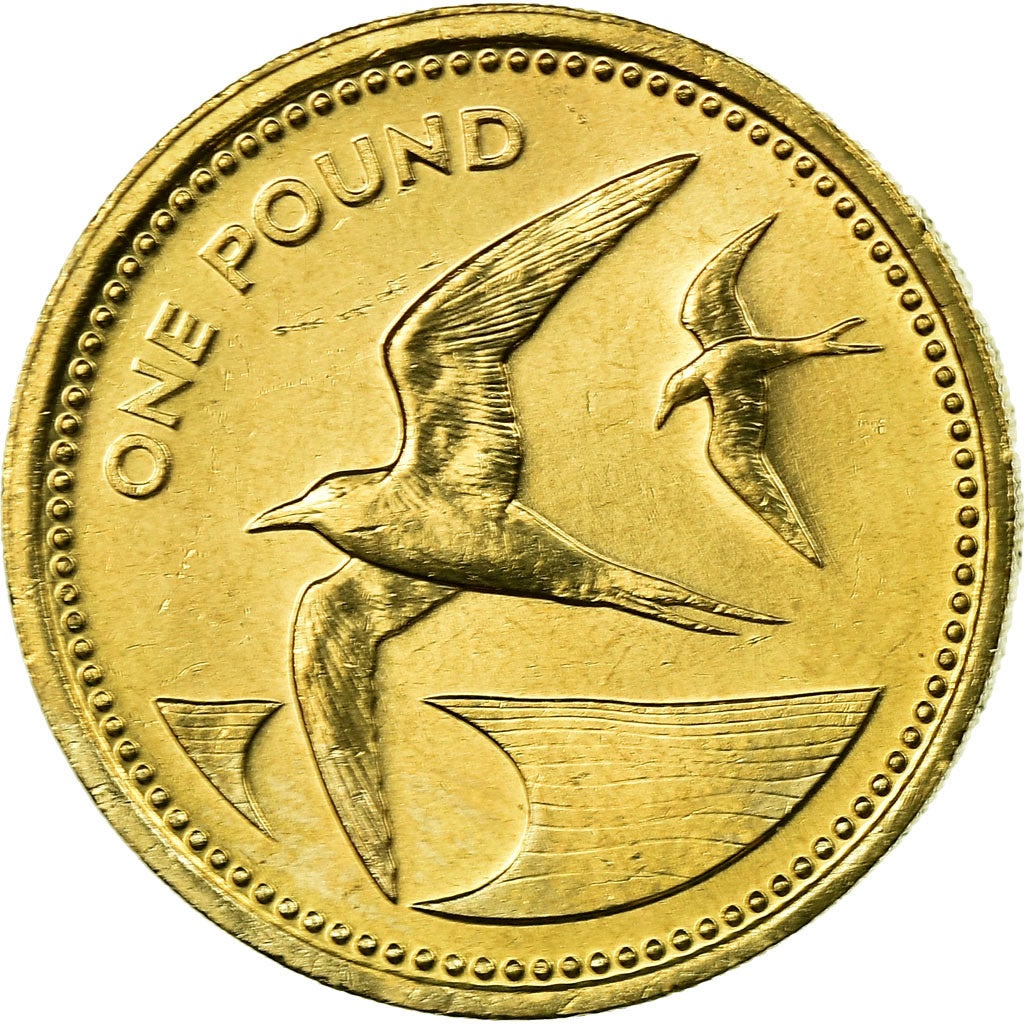 Coin, SAINT HELENA & ASCENSION, Elizabeth II, Pound, 1984, British Royal Mint