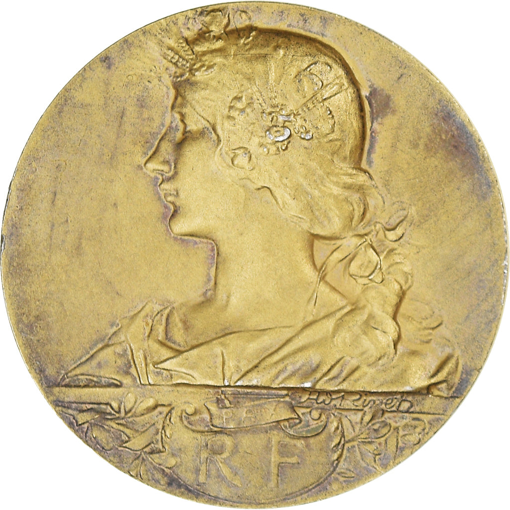 France, Medal, Comice Agricole de Castelsarrasin, Agriculture, Rivet, MS(63)