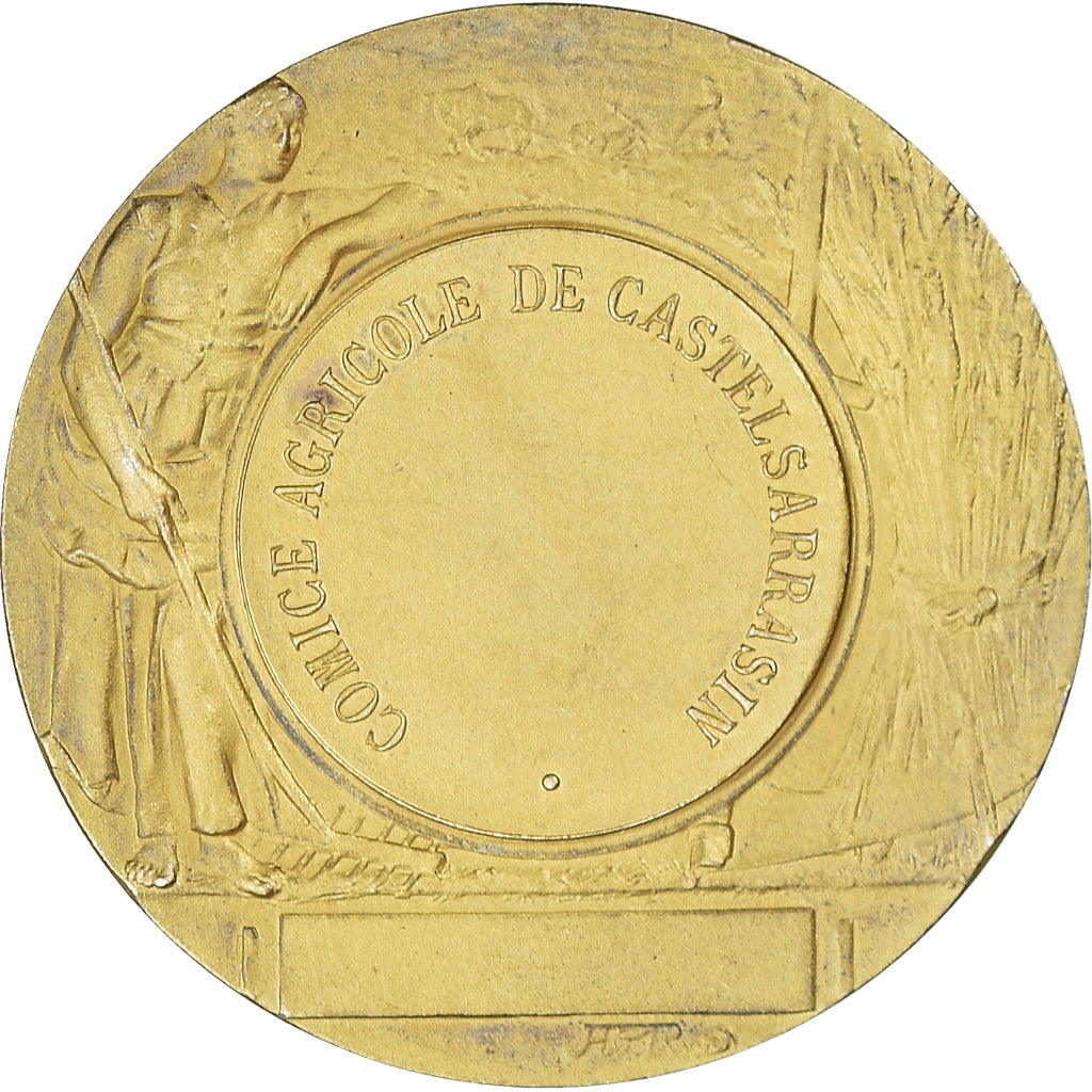 France, Medal, Comice Agricole de Castelsarrasin, Agriculture, Rivet, MS(63)