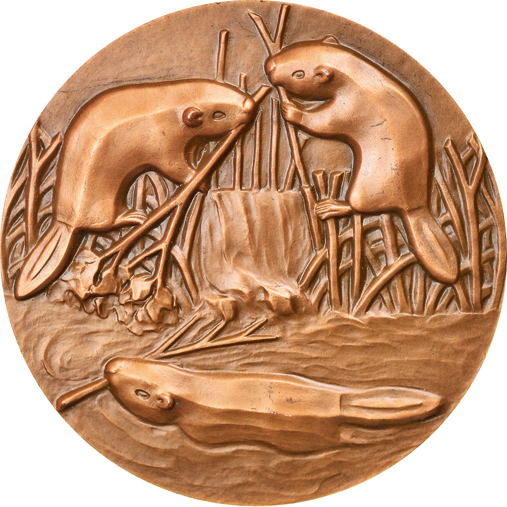 Francia, medaglia, Animaux, Castors, Fauna, 1981, Geneviève Pons-Vignon, SPL-