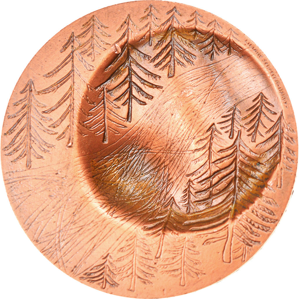Francja, Medal, 1er Jeux Olympiques d'Hiver de 1924, Chamonix, Sport i