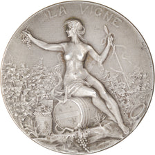 France, Médaille, La Vigne, Gevrey-Chambertin, 1908, Prud'homme.G, SUP+, Bronze