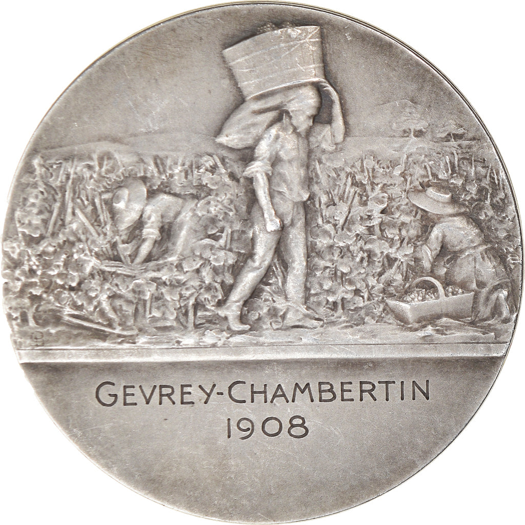 France, Médaille, La Vigne, Gevrey-Chambertin, 1908, Prud'homme.G, SUP+, Bronze