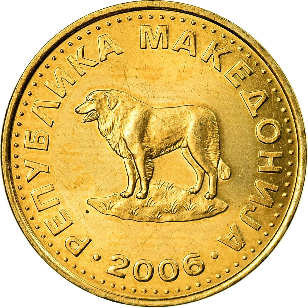 Coin, Macedonia, Denar, 2006, AU(55-58), Brass, KM:2