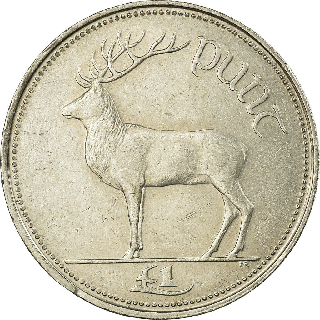 Coin, IRELAND REPUBLIC, Punt, Pound, 1996, EF(40-45), Copper-nickel, KM:27
