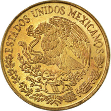 Coin, Mexico, 5 Centavos, 1972, EF(40-45), Brass, KM:427