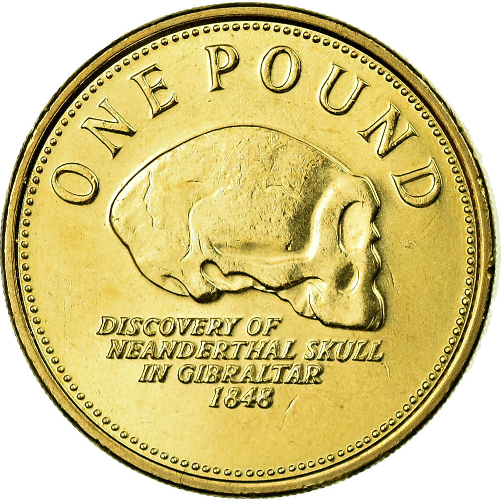 Coin, Gibraltar, Elizabeth II, Pound, 2008, MS(63), Nickel-brass, KM:1091