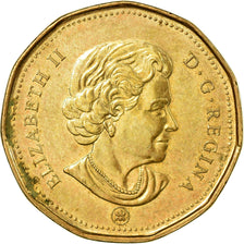 Coin, Canada, Elizabeth II, Dollar, 2008, EF(40-45), Aureate-Bronze Plated