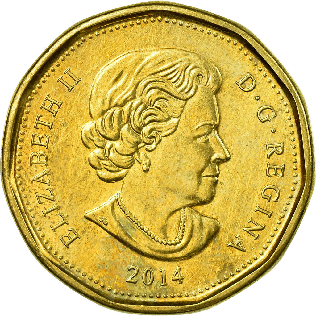 Moneta, Canada, Dollar, 2014, EF(40-45), Aureate-Brąz niklowany
