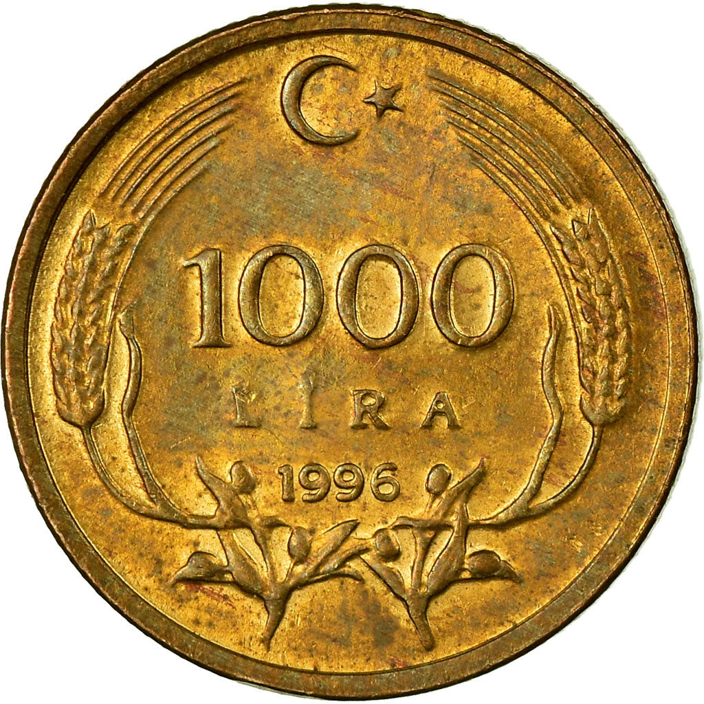Coin, Turkey, 1000 Lira, 1996, EF(40-45), Bronze Clad Brass, KM:1028