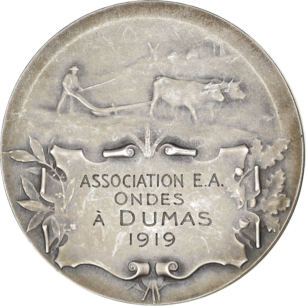 Francia, medaglia, Association E.A Ondes, à Dumas, Agriculture, 1919, Henri