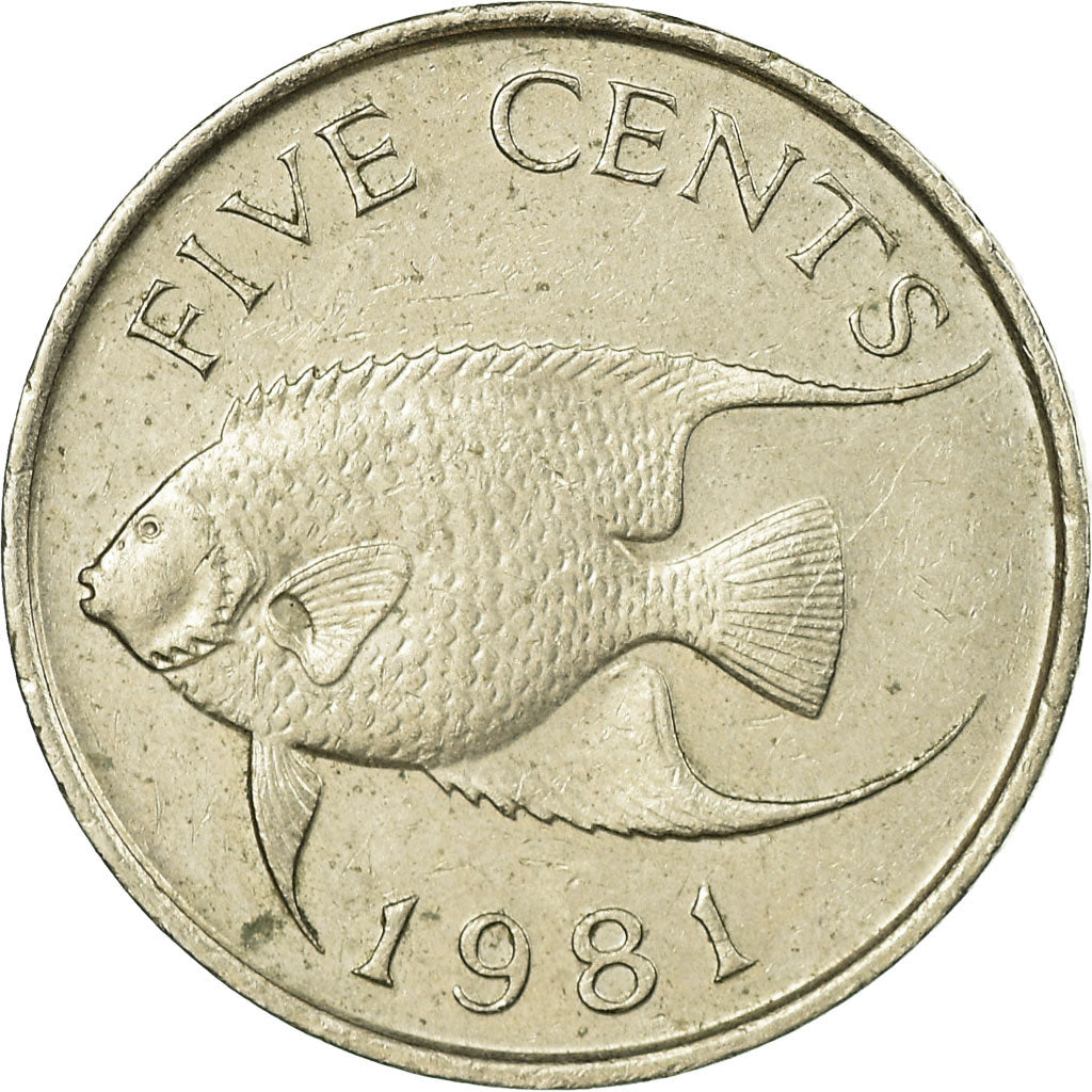 Coin, Bermuda, Elizabeth II, 5 Cents, 1981, EF(40-45), Copper-nickel, KM:16
