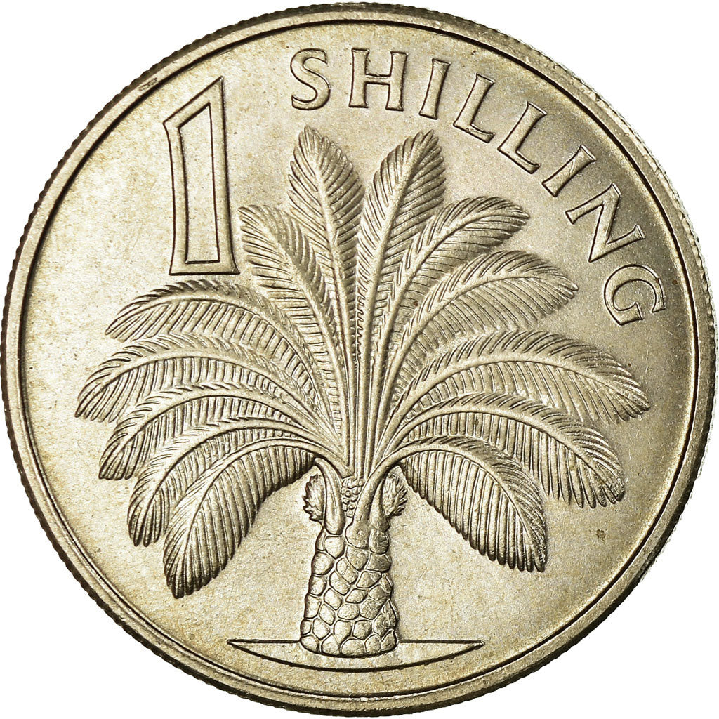 Coin, GAMBIA, THE, Shilling, 1966, EF(40-45), Copper-nickel, KM:4