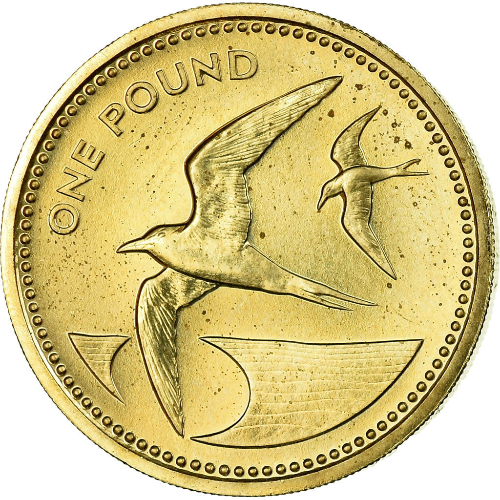 Coin, SAINT HELENA & ASCENSION, Elizabeth II, Pound, 1984, British Royal Mint