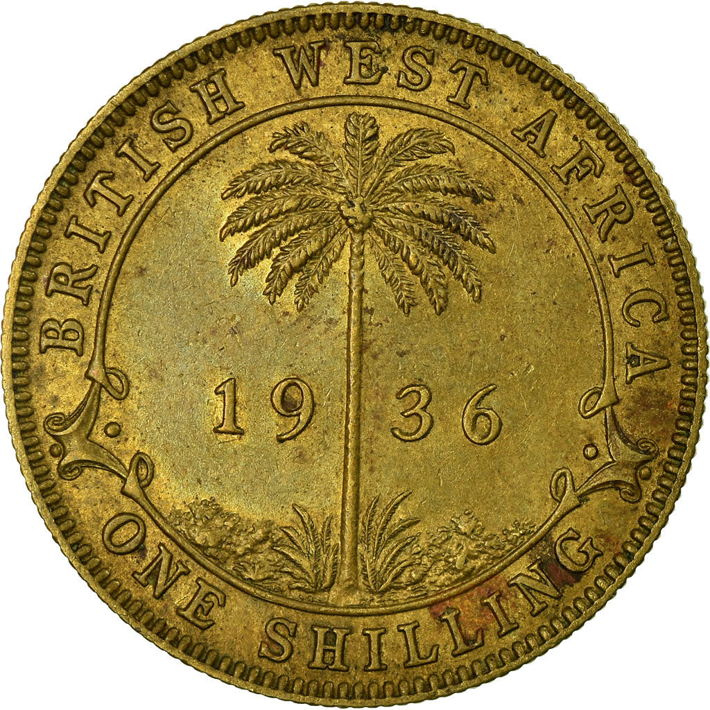 Coin, BRITISH WEST AFRICA, George V, Shilling, 1936, EF(40-45), Tin-Brass
