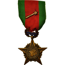 France, Campagne Rhin et Danube, Première Armée Française, Médaille