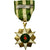 Viëtnam, Campagne, Chien-Dich Boi-Tinh, Medaille, 1960, Excellent Quality, Gilt