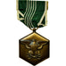 Stany Zjednoczone Ameryki, Fot Military Merit, Medal, Undated, Doskonała